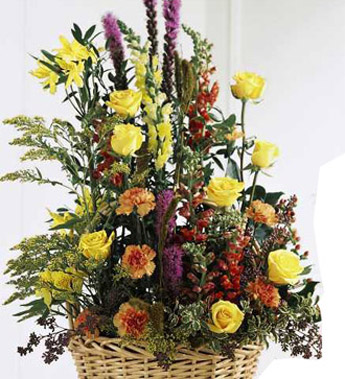 The Field of Dreams Arrangement